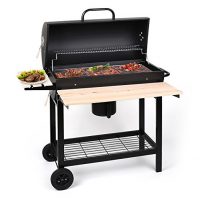 oneconcept gq5 barbacoa