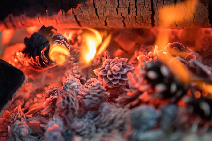 barbacoa-de-leña-con-piñas