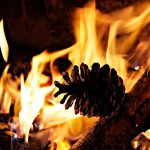 encender-barbacoa-con-piñas