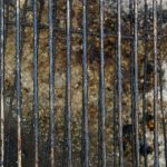 Cómo limpiar una parrilla muy sucia